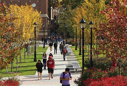 Students walking outside on campus