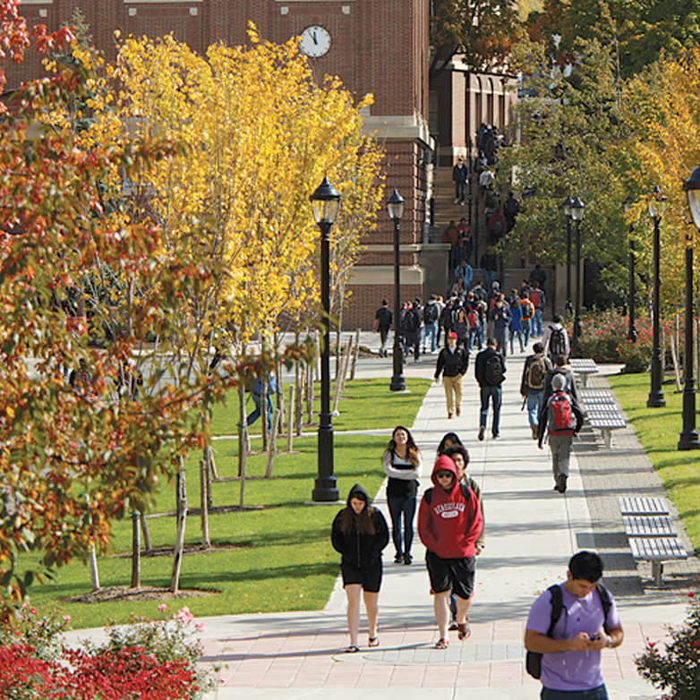 Student walking on a beautiful Fall day