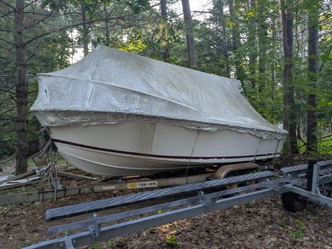 Boat Disposition